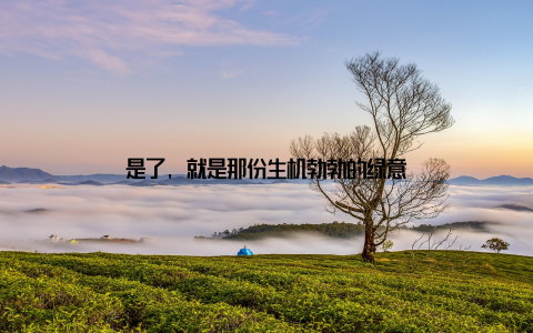 是了, 就是那份生机勃勃的绿意