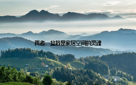 再者, 盆栽是家居空间的灵魂