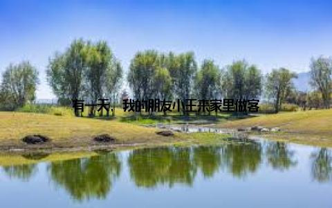 有一天, 我的朋友小王来家里做客