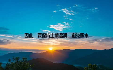 因此, 要保持土壤湿润, 避免积水