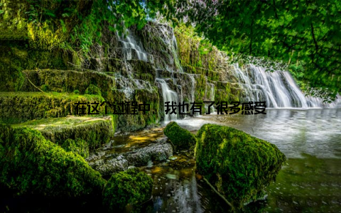 在这个过程中, 我也有了很多感受