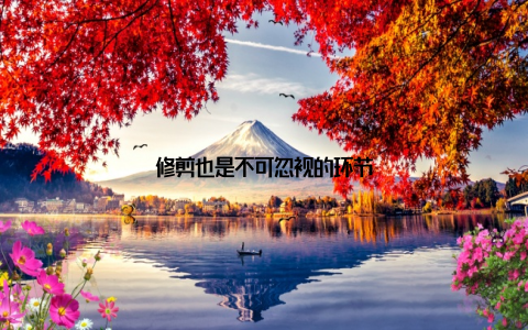 修剪也是不可忽视的环节