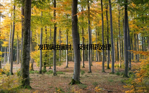 发现病虫害时, 及时用药处理