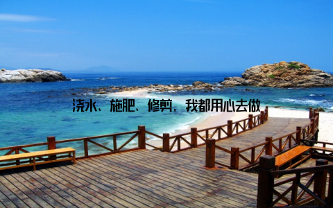 浇水、施肥、修剪, 我都用心去做