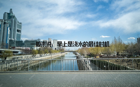 一般来说, 早上是浇水的最佳时机