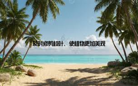 及时修剪枝叶, 使植物更加美观