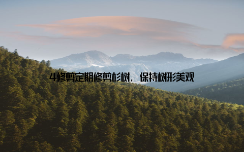 4修剪定期修剪杉树, 保持树形美观