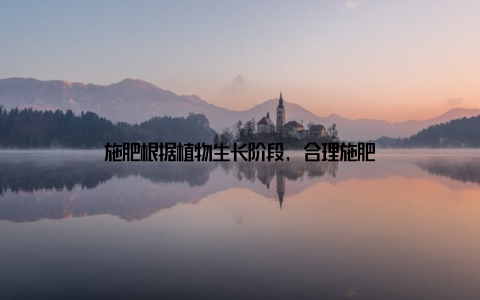 施肥根据植物生长阶段, 合理施肥