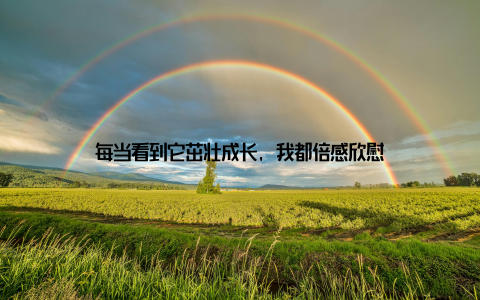 每当看到它茁壮成长, 我都倍感欣慰