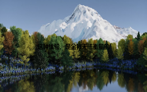 这种体验, 是金钱无法衡量的