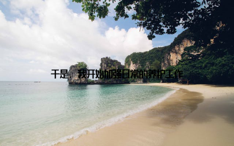 于是, 我开始加强日常的养护工作