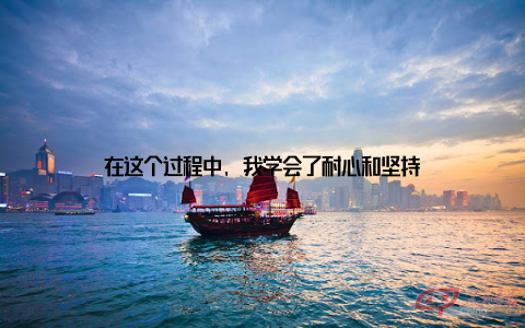 在这个过程中, 我学会了耐心和坚持