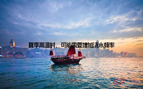 夏季高温时, 可能需要增加浇水频率