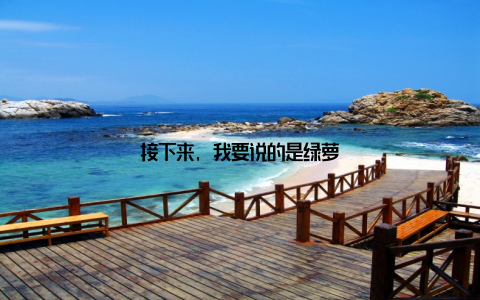 接下来, 我要说的是绿萝