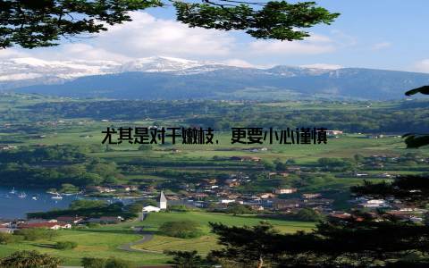 尤其是对于嫩枝, 更要小心谨慎