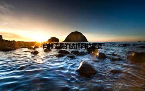 剪枝工具的选择同样重要