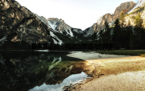 夏季高温时, 可适当增加浇水频率