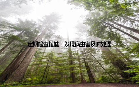 定期检查植株, 发现病虫害及时处理