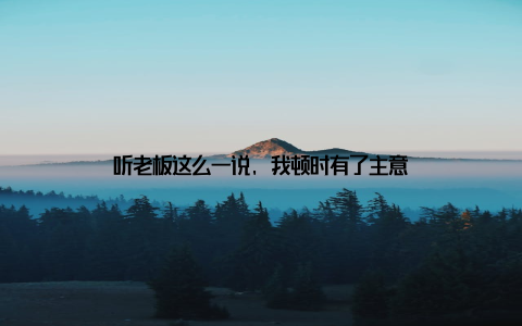 听老板这么一说, 我顿时有了主意