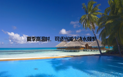 夏季高温时, 可适当减少浇水频率