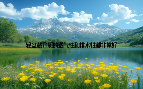 轻盆栽介质的透气性和排水性都非常好