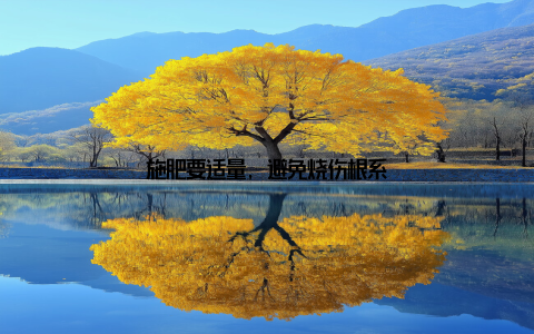 施肥要适量, 避免烧伤根系