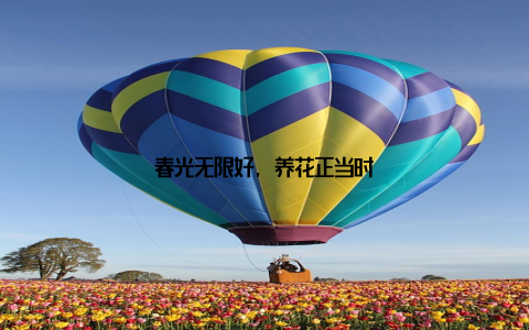 春光无限好, 养花正当时