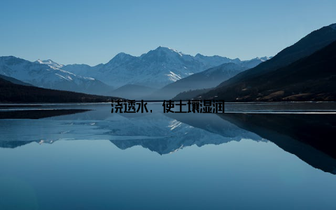 浇透水, 使土壤湿润