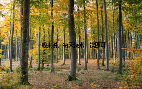 一般来说, 每天浇水一次即可