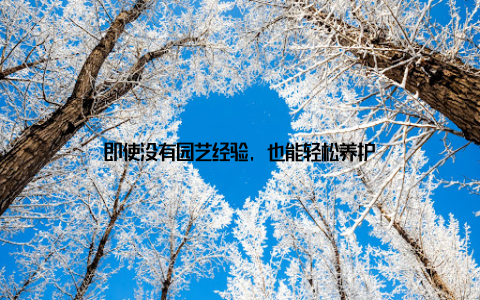 即使没有园艺经验, 也能轻松养护