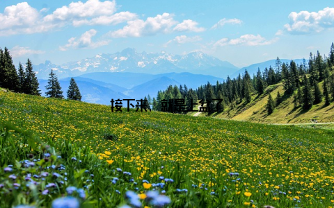 接下来, 就是上盆了