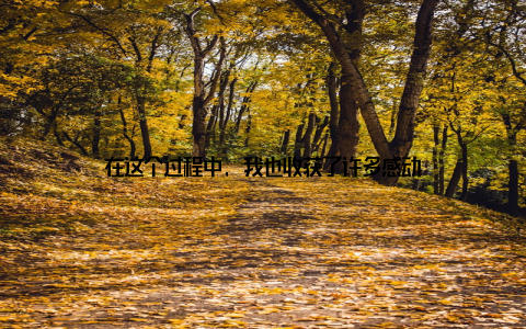 在这个过程中, 我也收获了许多感动