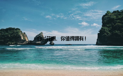 白兰花树, 你值得拥有!