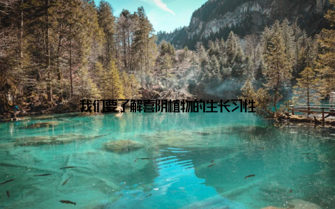 我们要了解喜阴植物的生长习性