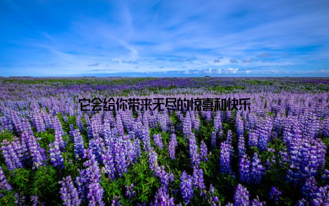 它会给你带来无尽的惊喜和快乐