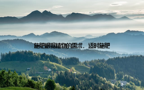 施肥根据植物的需求, 适时施肥