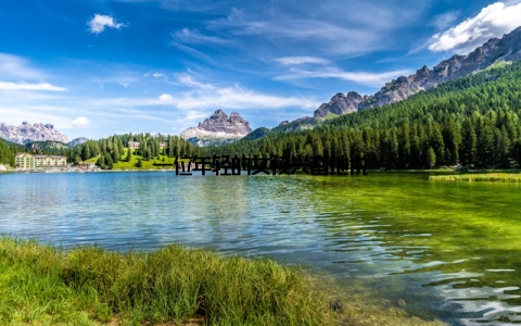 一位年轻的女孩兴奋地说