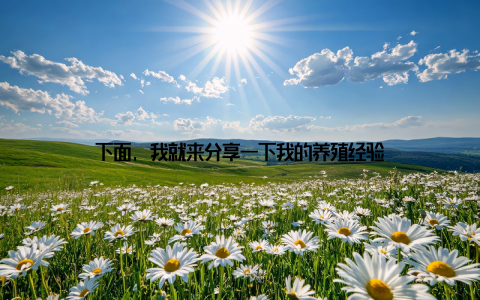 下面, 我就来分享一下我的养殖经验