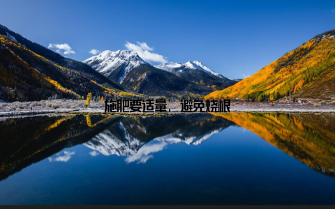 施肥要适量, 避免烧根