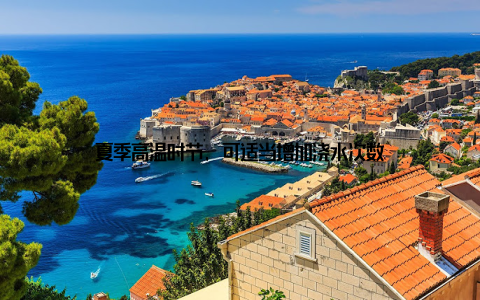 夏季高温时节, 可适当增加浇水次数