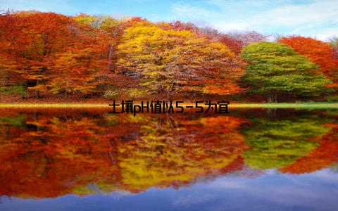 土壤pH值以5-5为宜