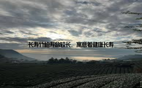 长寿竹柏寿命较长, 寓意着健康长寿