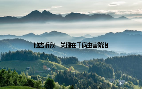 他告诉我, 关键在于病虫害防治