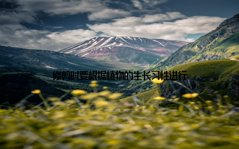 修剪时要根据植物的生长习性进行