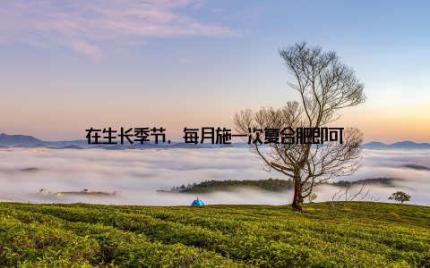 在生长季节, 每月施一次复合肥即可