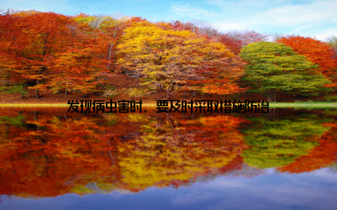 发现病虫害时, 要及时采取措施防治