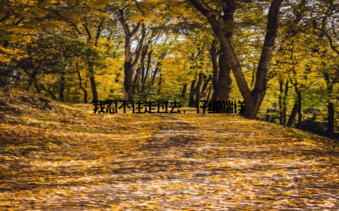 我忍不住走过去, 仔细端详