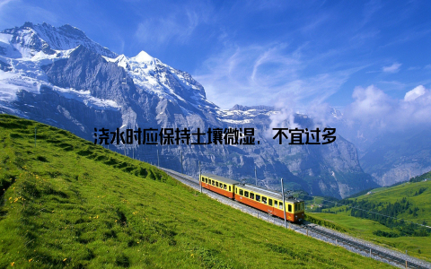 浇水时应保持土壤微湿, 不宜过多