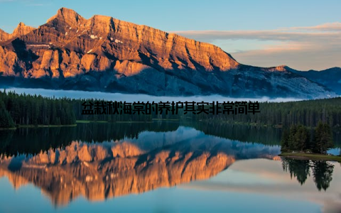 盆栽秋海棠的养护其实非常简单