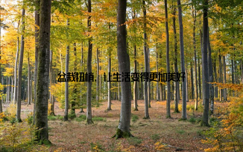 盆栽扭梢, 让生活变得更加美好